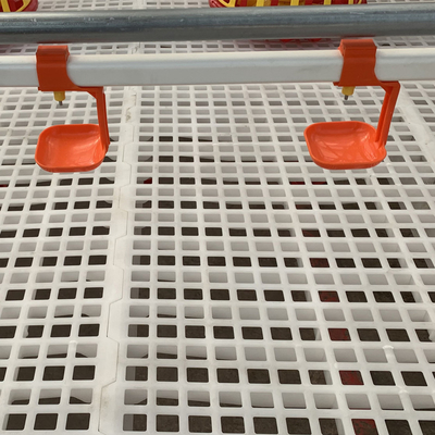 Cheap Chicken Farm Poultry Automatic Nipple Drinking System For Poultry Farmer Home